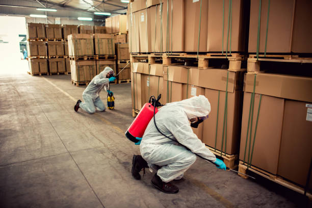 Professional Pest Control in Midway, KY