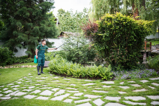 Best Local Pest Control Services  in Midway, KY