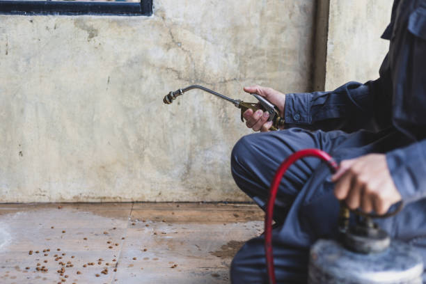 Best Best Pest Control Companies  in Midway, KY
